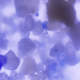 Blue lazurite found in the dental plaque of 1,000-year-old teeth.